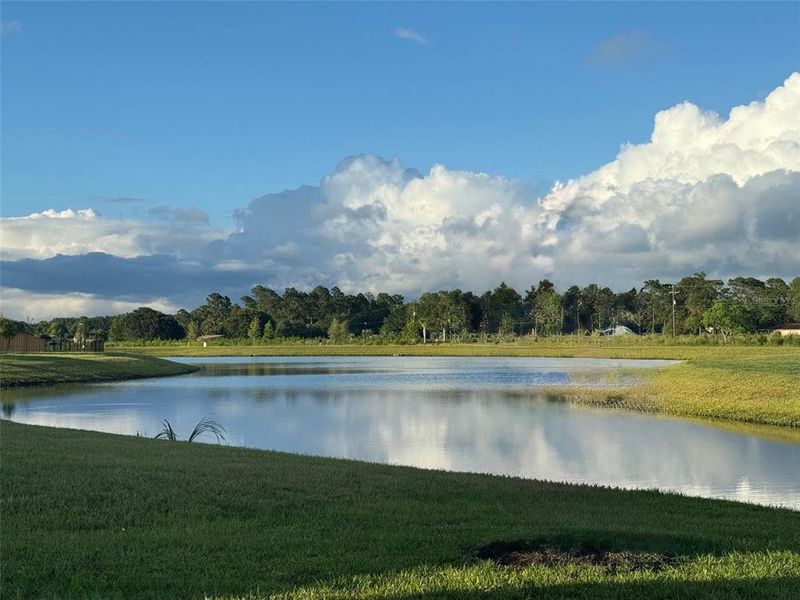 Natural landscape and outdoor views near Copes Landing in Jacksonville (Image 8).