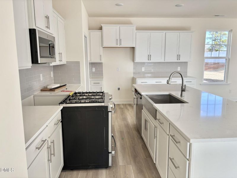 EV 10 Profile Gas Stove