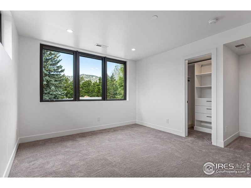 2nd bedroom with walk-in closet