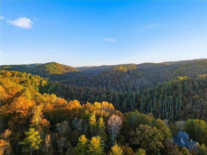 Natural landscape and outdoor views near  in Ranger (Image 36).