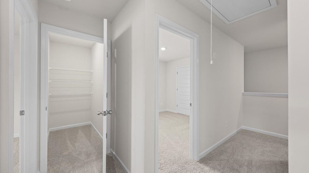Spacious, unfurnished interior of a new home in Laurel Park Townhomes, Hephzibah (Image 23). Spacious, unfurnished interior of a new home in Laurel Park Townhomes, Hephzibah (Image 23).