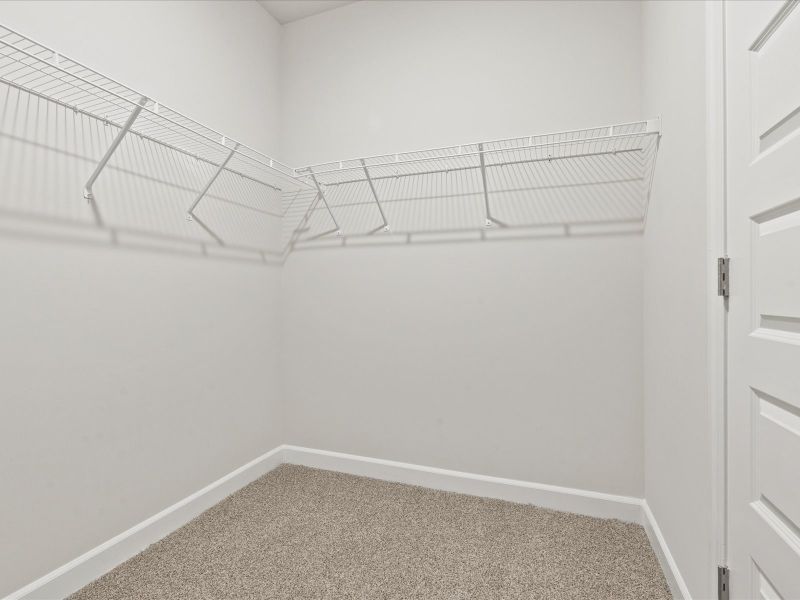 Welcome to the Buchanan floorplan at Holland Park.