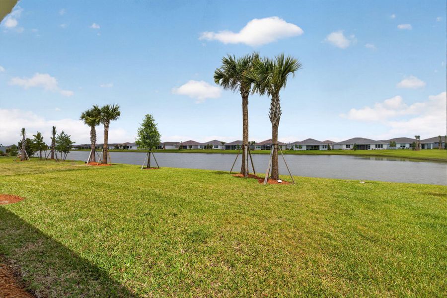 10-web-or-mls-3A5A7119