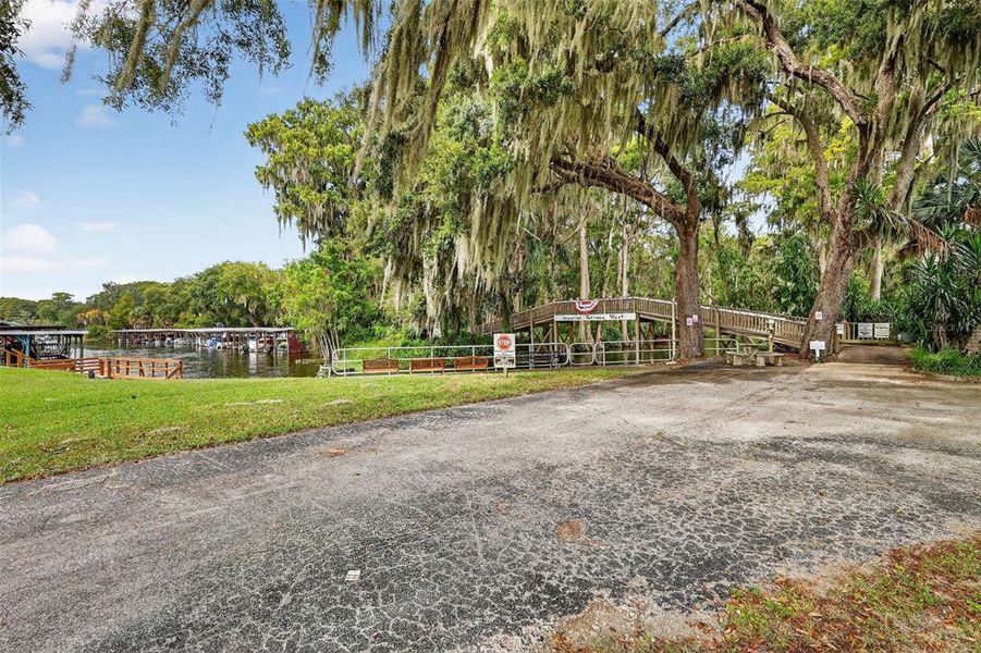 Natural landscape and outdoor views near in Tavares (Image 24). Natural landscape and outdoor views near in Tavares (Image 24).