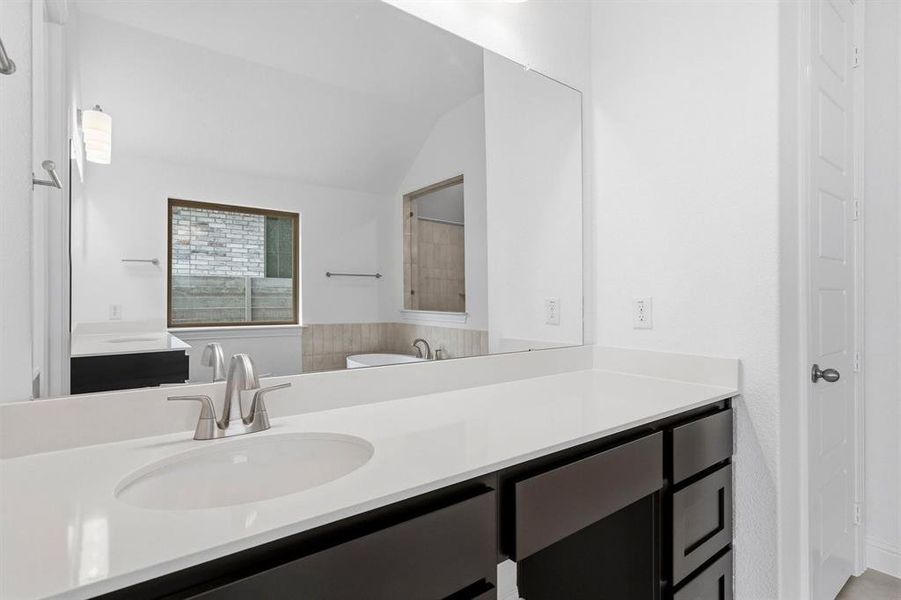 DAL_Painted Tree_Concord_3913 Attwater Street (19) DAL_Painted Tree_Concord_3913 Attwater Street (19)