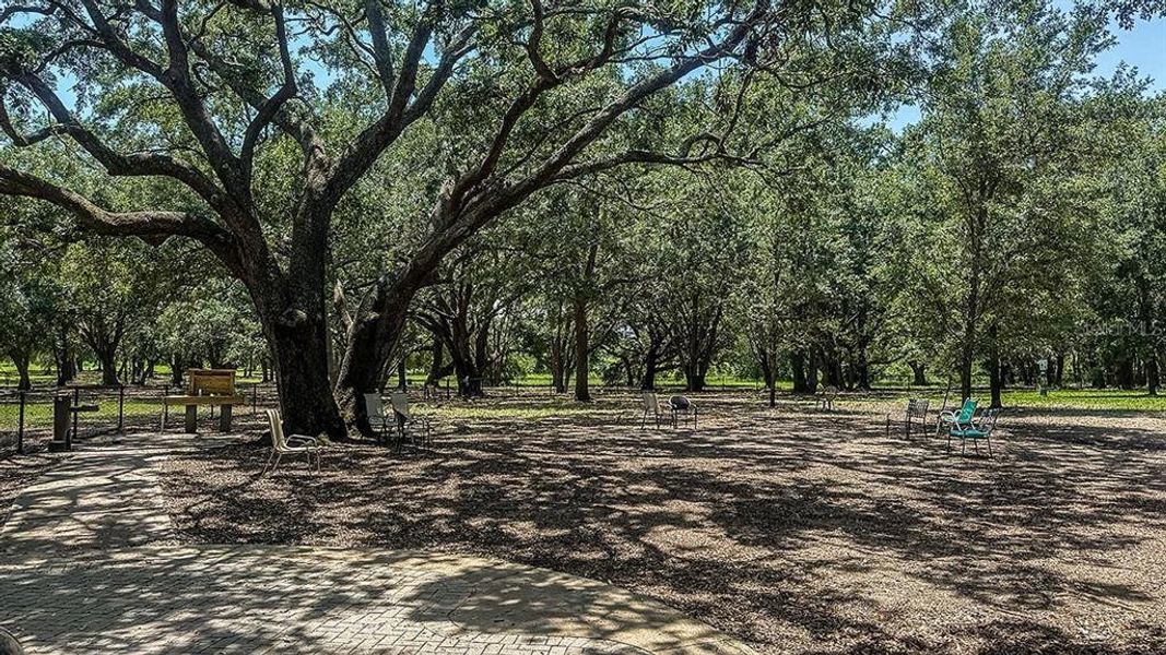 Natural landscape and outdoor views near Waterstone in Groveland (Image 24).