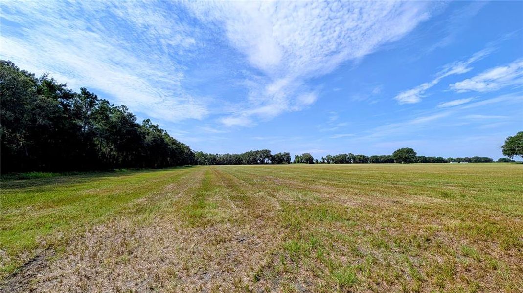 Natural landscape and outdoor views near  in Wauchula (Image 43).