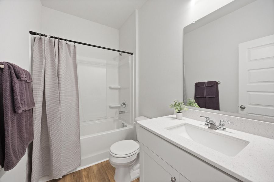 Furnished interior view inside a new home in , Beaufort (Image 8).