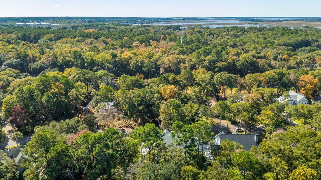 Natural landscape and outdoor views near  in Johns Island (Image 97).
