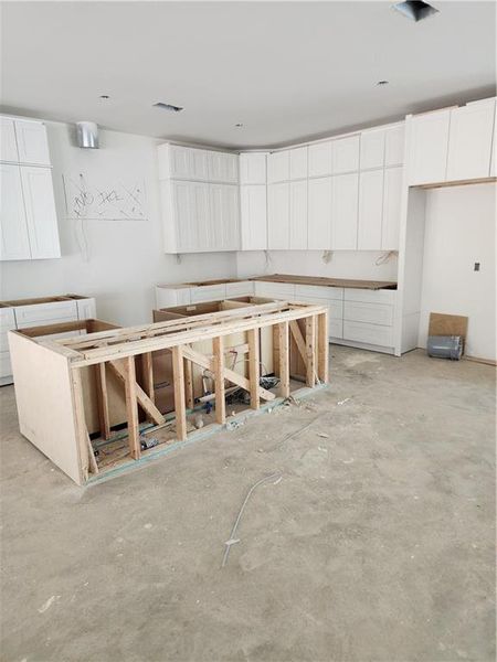 In-progress construction of a new home in , Flowery Branch, GA (Image 13). In-progress construction of a new home in , Flowery Branch, GA (Image 13).