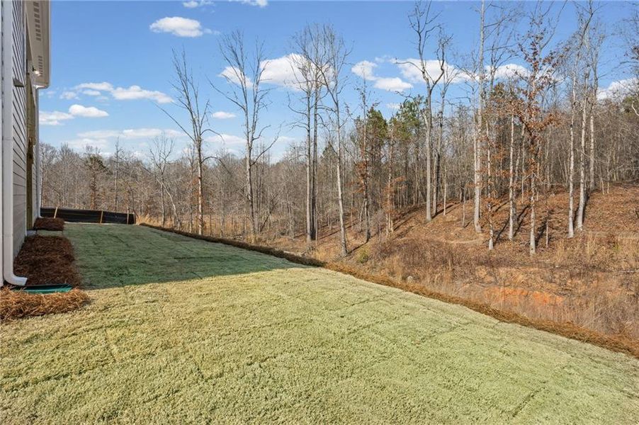 Natural landscape and outdoor views near The Reserve At Liberty Park in Braselton (Image 43).