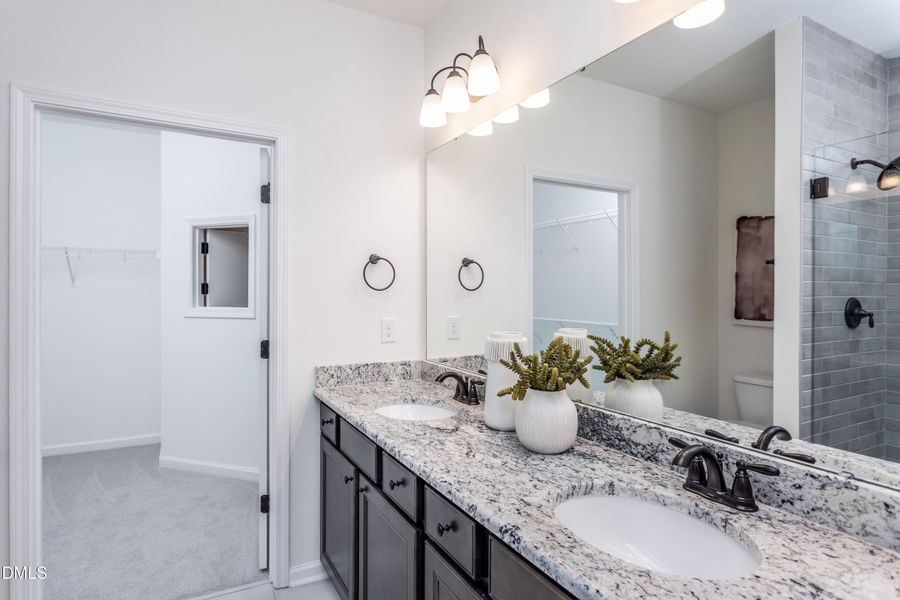 Compass016 Compass016