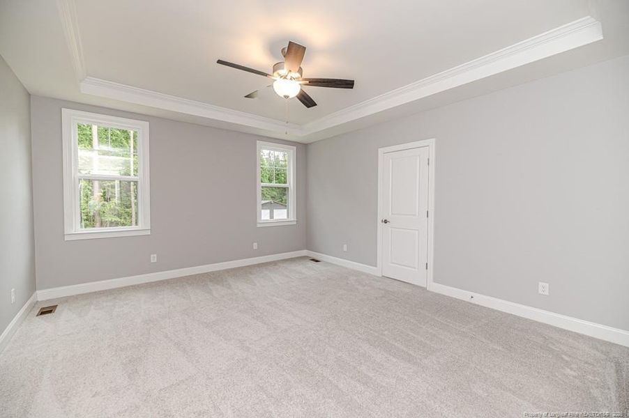 Master bedroom with trey ceiling