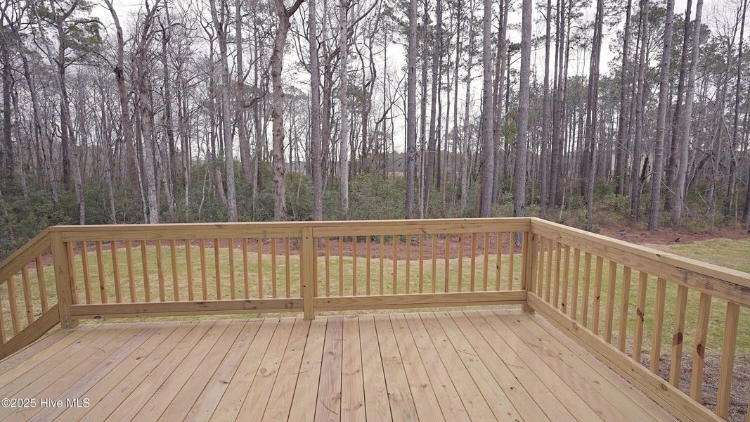 Exterior details and patio area of a home in Rutledge, Shallotte (Image 4).