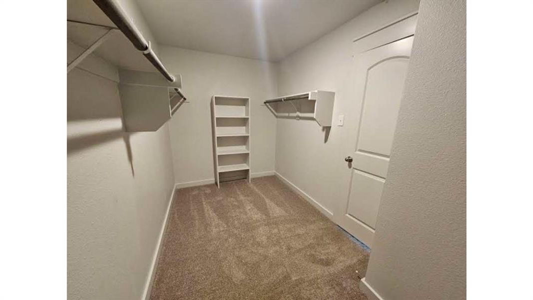 Walk-in closet featuring neutral carpeting, white shelving units, and hanging rods