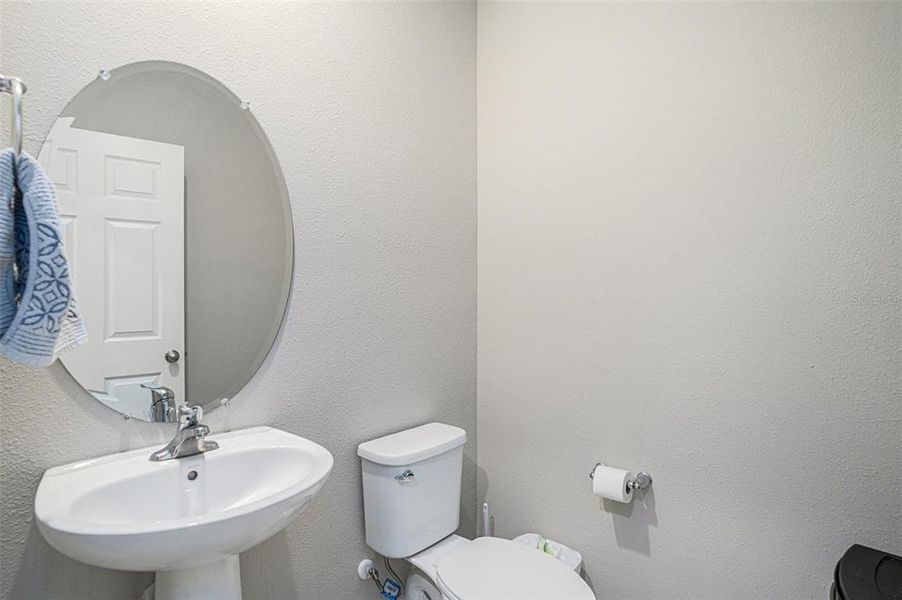 Furnished interior view inside a new home in Hawkstone, Lithia (Image 12).