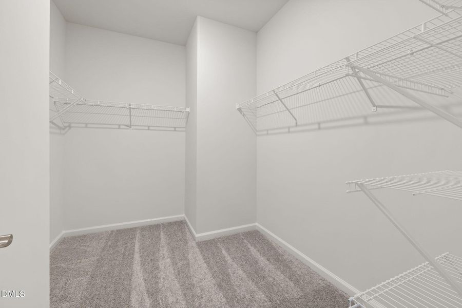 21-web-or-mls-DX3A0704