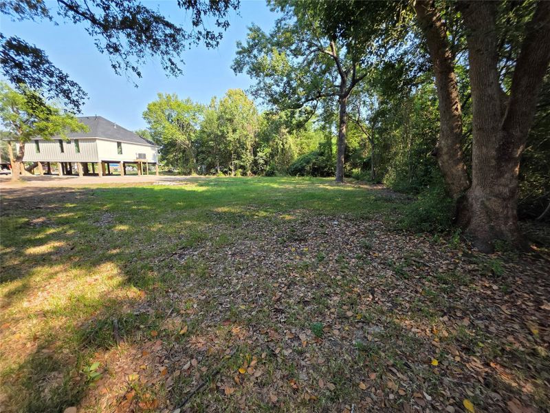 Natural landscape and outdoor views near  in Bridge City (Image 37).