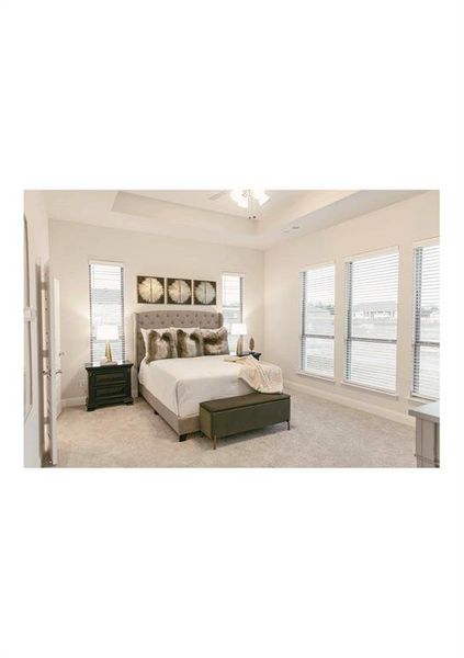 Carpeted bedroom with a tray ceiling