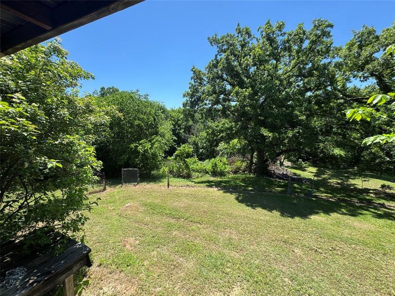Natural landscape and outdoor views near  in Gainesville (Image 6).