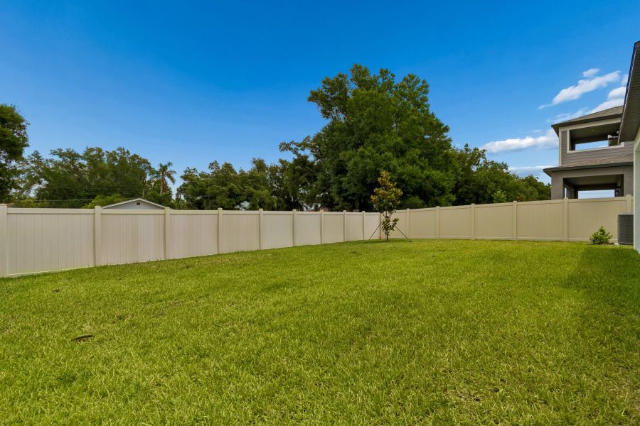 Backyard Backyard