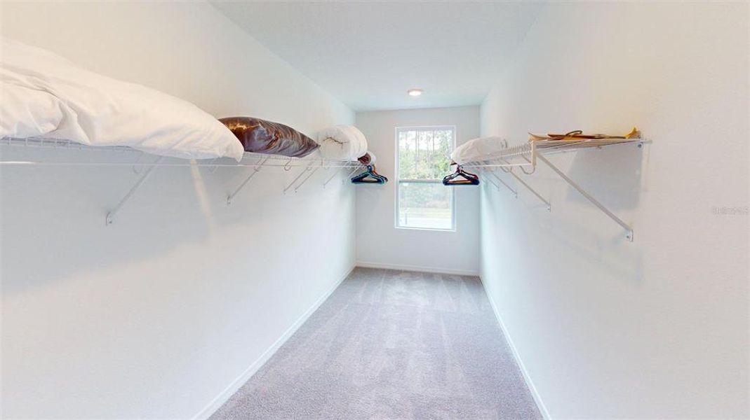 Spacious, unfurnished interior of a new home in , Winter Garden (Image 62). Spacious, unfurnished interior of a new home in , Winter Garden (Image 62).