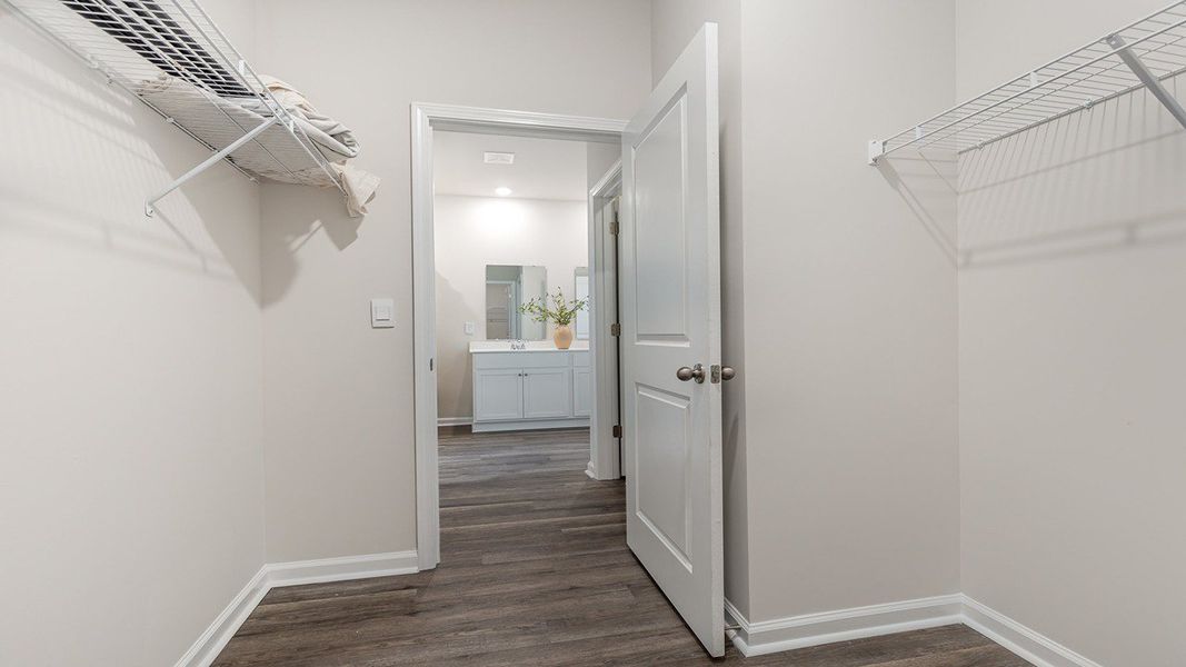 Spacious, unfurnished interior of a new home in Auberon Woods, Conway (Image 20).