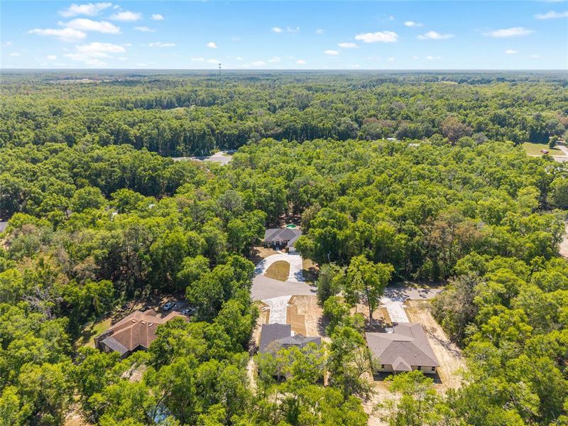 Natural landscape and outdoor views near  in Fort White (Image 52).