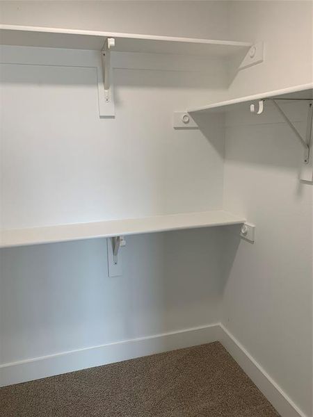 Walk in closet featuring carpet floors