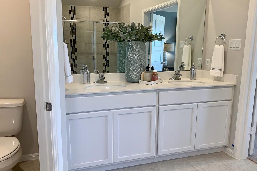 Owner's Bathroom