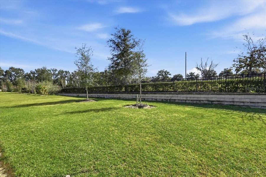 Natural landscape and outdoor views near Oak Pointe in Apopka (Image 25). Natural landscape and outdoor views near Oak Pointe in Apopka (Image 25).