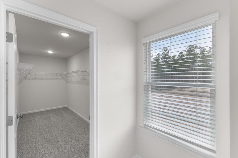 Spacious, unfurnished interior of a new home in Hitchcock Preserve, Aiken (Image 23).