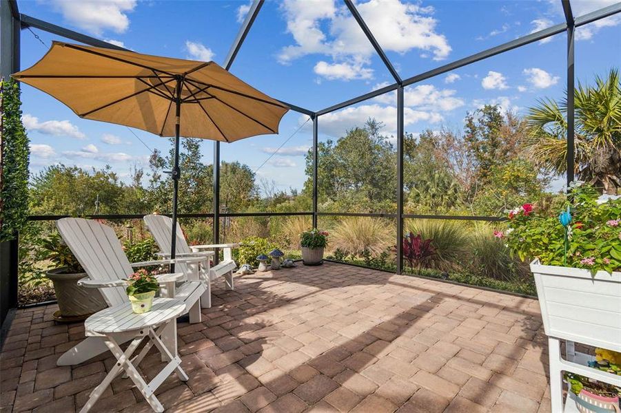 Community amenities in , Wesley Chapel (Image 39).