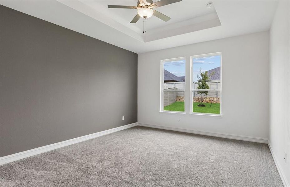 Owners suite with tray ceiling