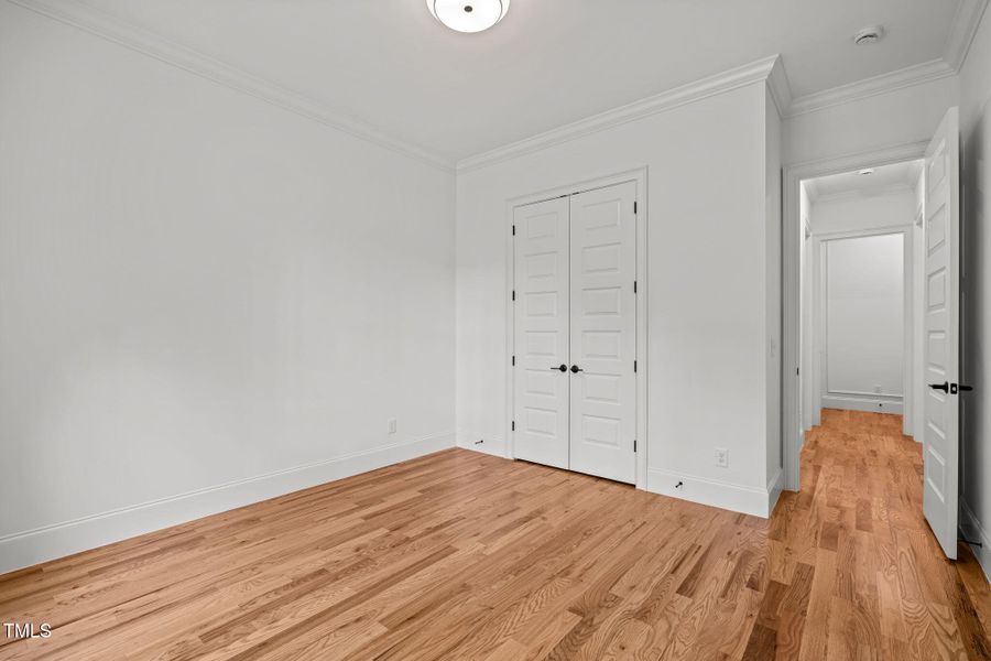 26-web-or-mls-5Z8A1165