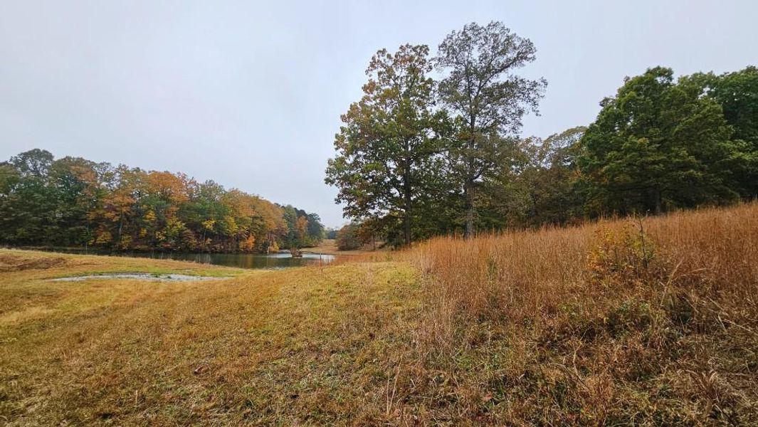 Natural landscape and outdoor views near in Dallas (Image 4). Natural landscape and outdoor views near in Dallas (Image 4).