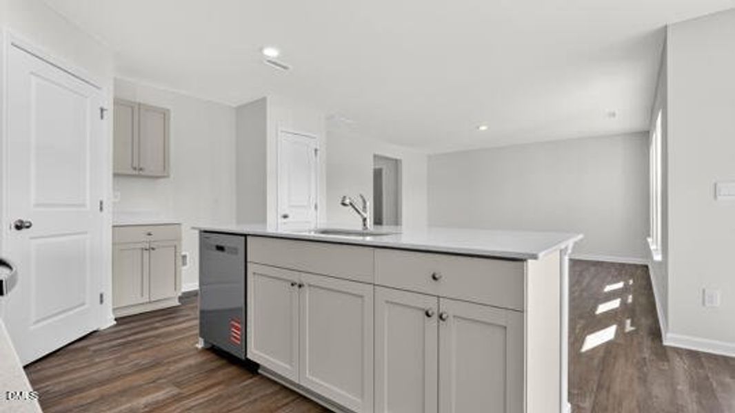 Belle Grove_Darwin A3_83_Gray_SPEC-018