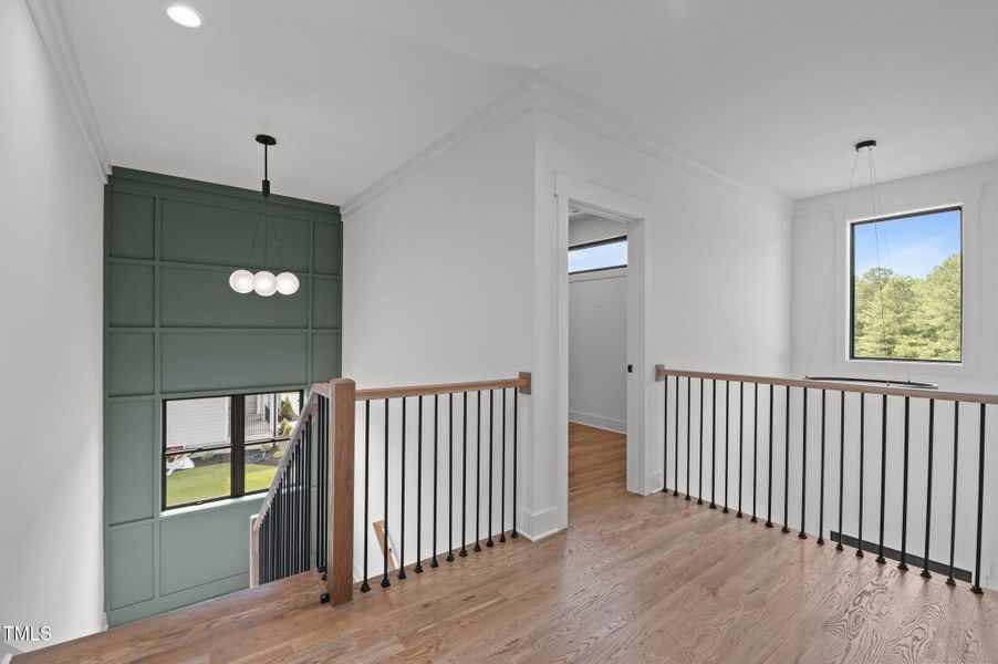 53-web-or-mls-DSC_7198