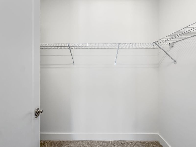 72-web-or-mls-JOY06620