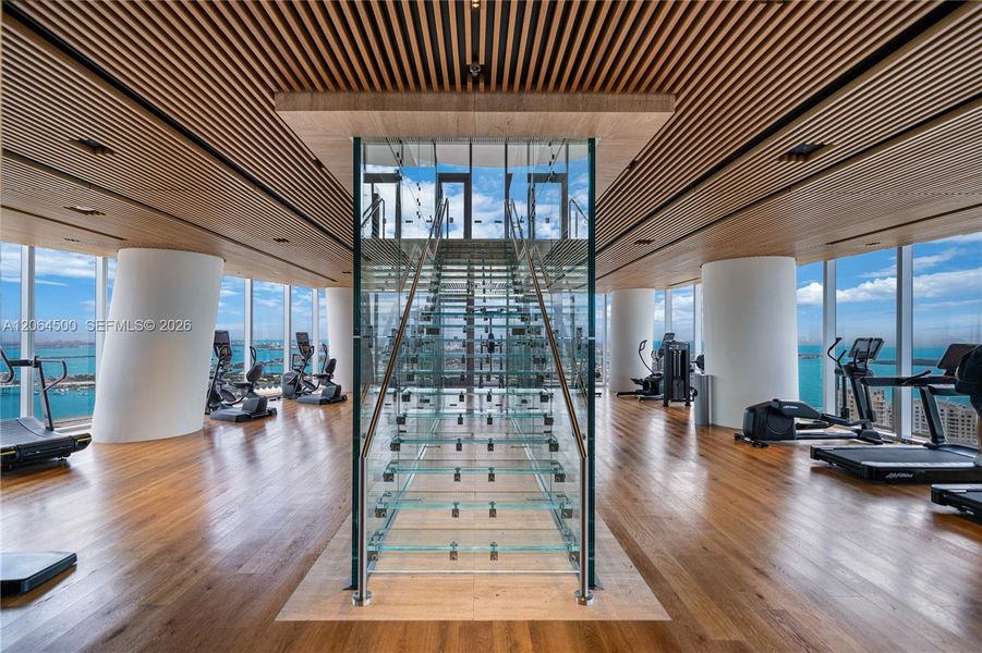 Floor 53-Cardio Floor. Floor 53-Cardio Floor.