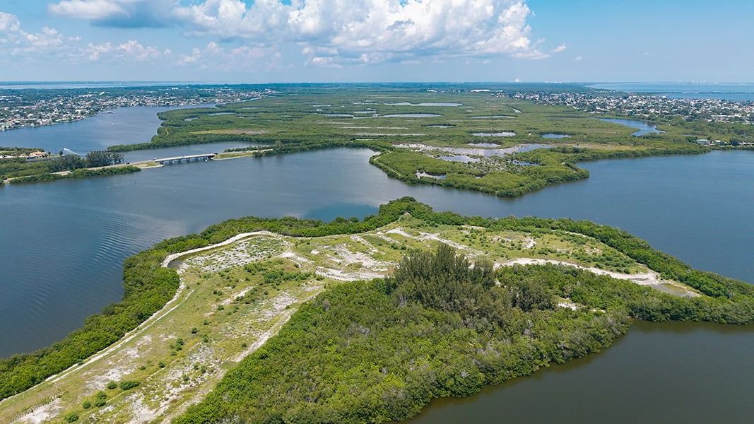 Natural landscape and outdoor views near Windward Preserve in Cocoa (Image 21). Natural landscape and outdoor views near Windward Preserve in Cocoa (Image 21).