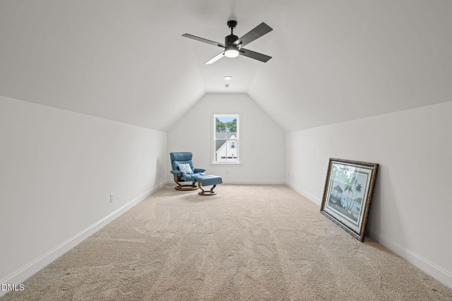 Bonus room (1)