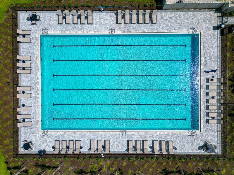 Community amenities in , Sarasota (Image 59).