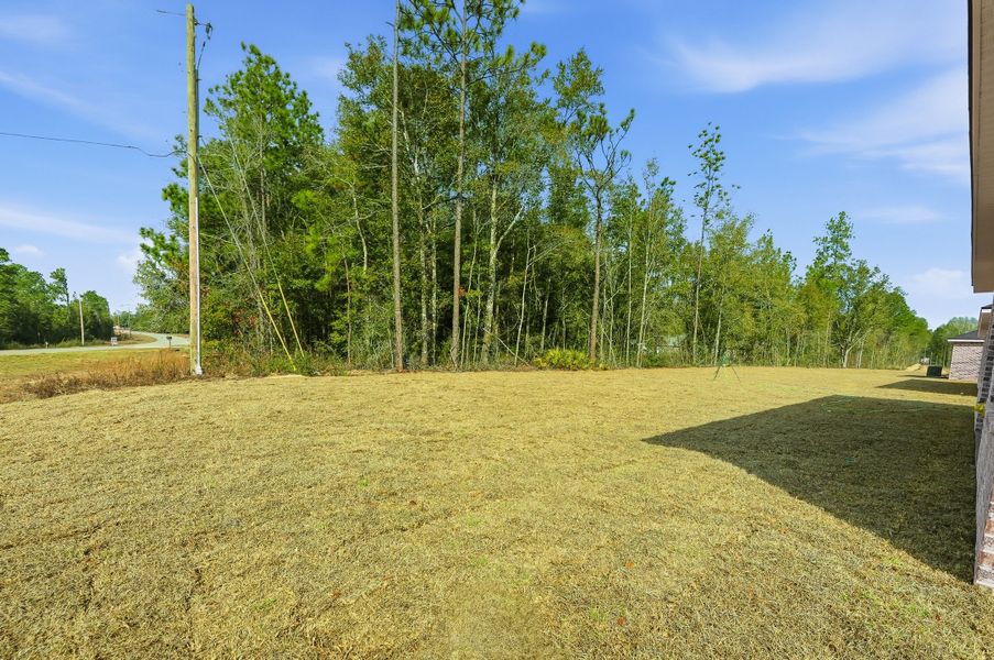 Natural landscape and outdoor views near Southern Charm in Crestview (Image 47).