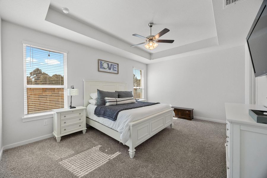 Large Primary Bedroom with natural light, carpet, a raised ceiling, and a ceiling fan