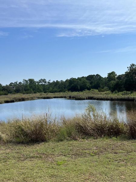 Natural landscape and outdoor views near  in Johns Island (Image 32).