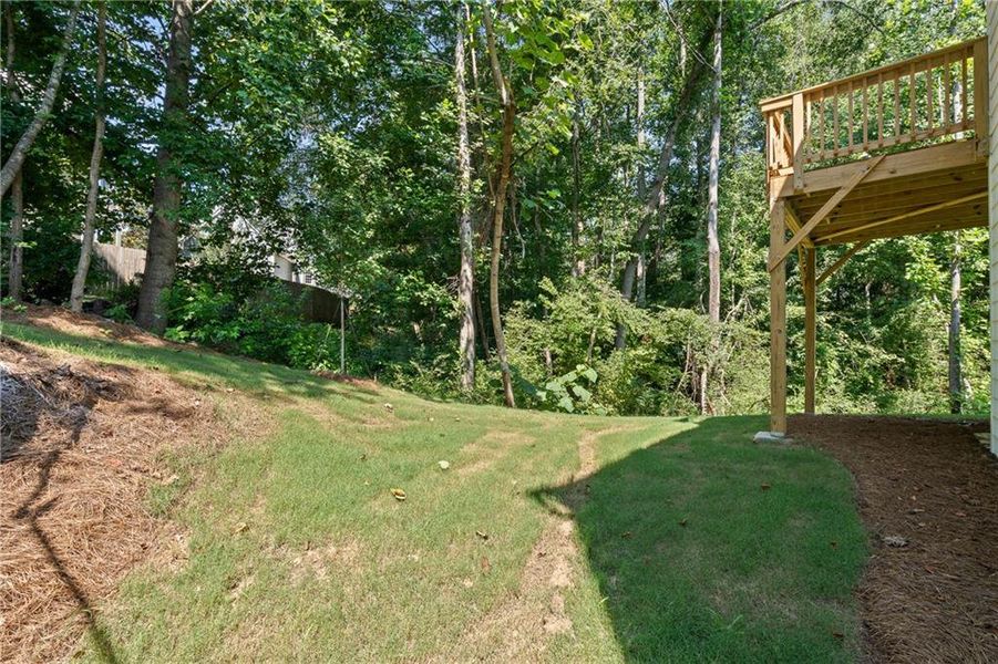 Natural landscape and outdoor views near Reunion in Hoschton (Image 57). Natural landscape and outdoor views near Reunion in Hoschton (Image 57).