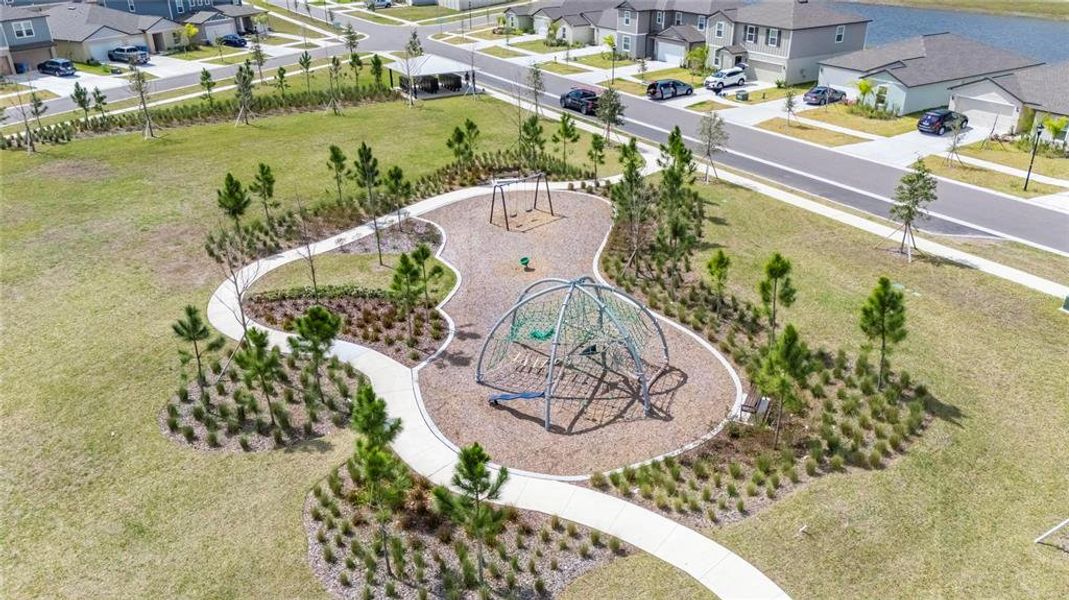 Community amenities in Balm Grove, Wimauma (Image 59).