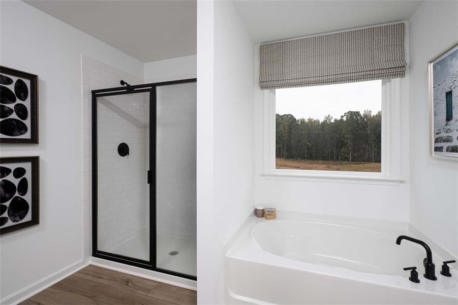 Furnished interior view inside a new home in Arbors at Richland Creek, Buford (Image 9). Furnished interior view inside a new home in Arbors at Richland Creek, Buford (Image 9).