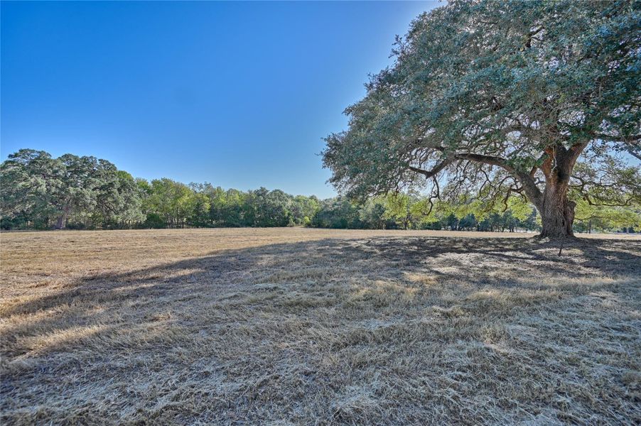 Natural landscape and outdoor views near  in La Grange (Image 21).